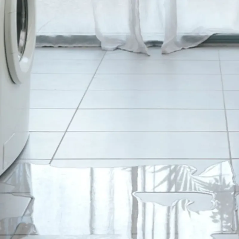 Appliance Leak Cleanup in Spring Valley, CA